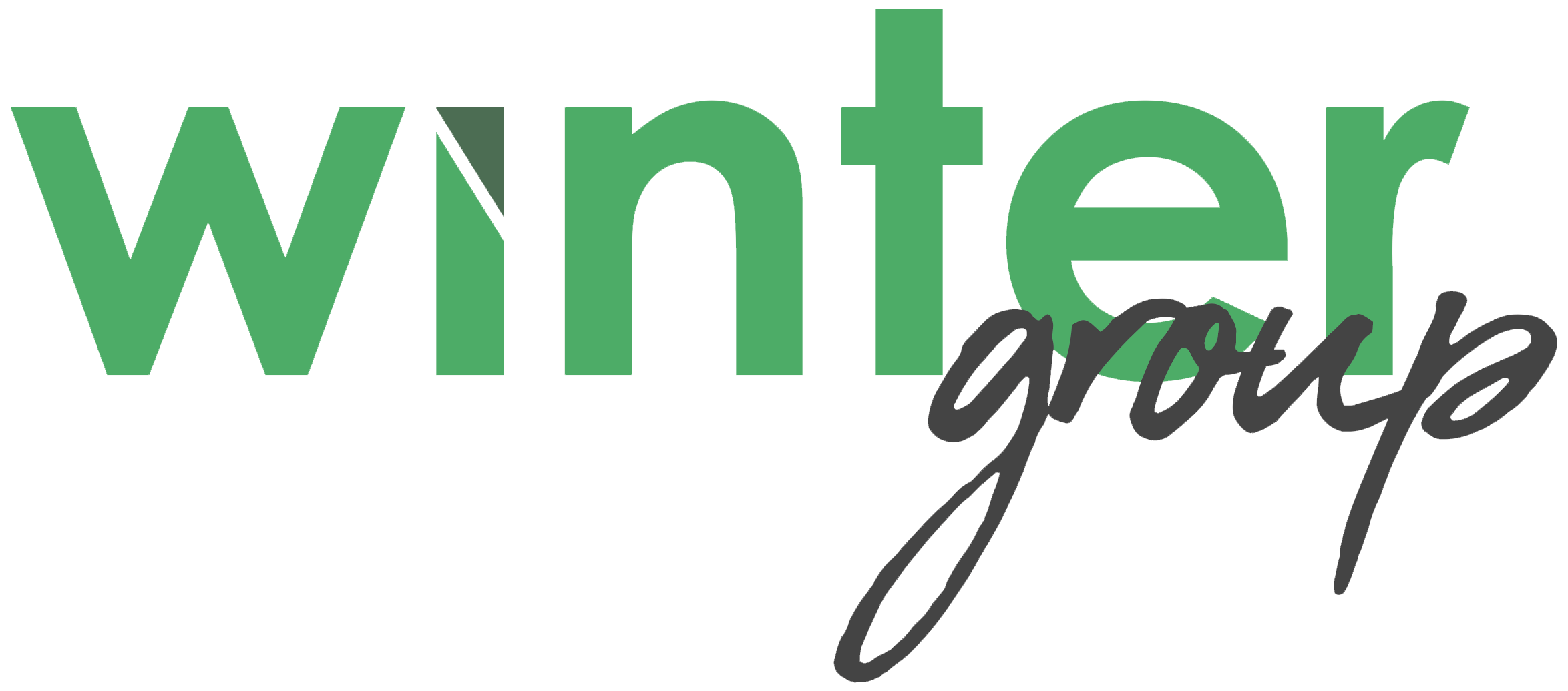 Winter Group - Bursa Web Tasarım